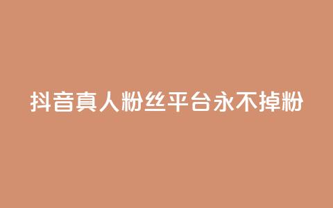 抖音真人粉丝平台 永不掉粉 - 增加社交影响力，稳定粉丝数量营销平台~  第1张