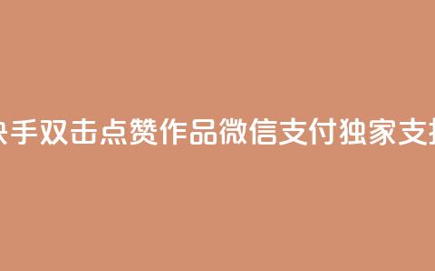 快手双击点赞作品，微信支付独家支持  第1张