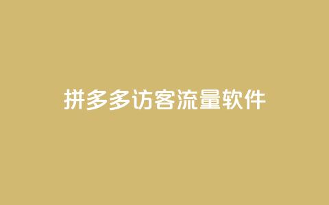 拼多多访客流量软件 - 拼多多流量增加神器，提升访客量~  第1张