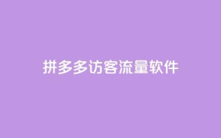 拼多多访客流量软件 - 拼多多流量增加神器，提升访客量~