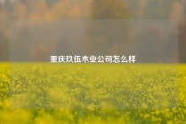 重庆玖伍木业公司怎么样