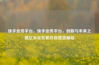 快手业务平台，快手业务平台，创新与未来之路亿乐社区低价自营货源站