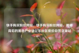 快手购买粉丝网站，快手购买粉丝网站，揭秘背后的黑色产业链亿乐社区低价自营货源站