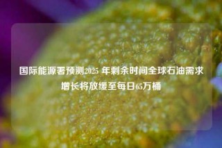国际能源署预测2025 年剩余时间全球石油需求增长将放缓至每日65万桶