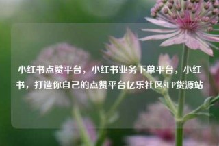 小红书点赞平台，小红书业务下单平台，小红书，打造你自己的点赞平台亿乐社区SUP货源站