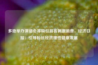 多地举办演唱会等吸引游客刺激消费，经济日报：引导粉丝经济理性健康发展