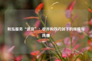 和泓服务“退货”：收并购双刃剑下的规模与阵痛