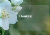 三角洲最新版