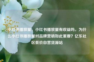 小红书播放量，小红书播放量有收益吗，为什么小红书播放量对品牌营销如此重要？亿乐社区低价自营货源站