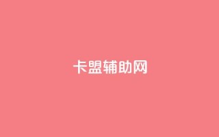 卡盟辅助网 - 优质卡盟辅助网为你的业务增光添彩!