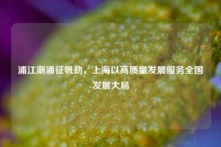 浦江潮涌征帆劲，上海以高质量发展服务全国发展大局