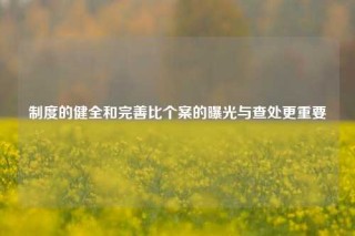 制度的健全和完善比个案的曝光与查处更重要