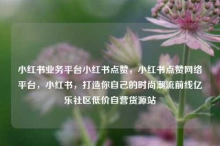 小红书业务平台小红书点赞，小红书点赞网络平台，小红书，打造你自己的时尚潮流前线亿乐社区低价自营货源站