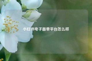 小红书电子面单平台怎么样