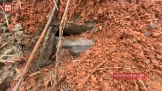 调查丨永久基本农田沦为垃圾堆场，整改为何成“纸面工程”？
