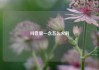 抖音里一念怎么火的