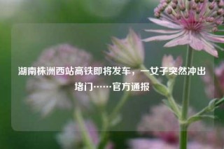 湖南株洲西站高铁即将发车，一女子突然冲出堵门……官方通报
