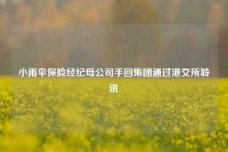 小雨伞保险经纪母公司手回集团通过港交所聆讯