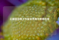 云南省名师工作室优秀骨干教师名单