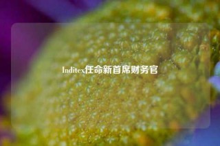 Inditex任命新首席财务官