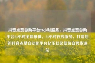 抖音点赞自助平台24小时服务，抖音点赞自助平台24小时全网最低，24小时在线服务，打造您的抖音点赞自动化平台亿乐社区低价自营货源站