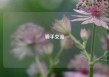 骑手交流