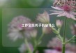 工作室挂机手机是什么