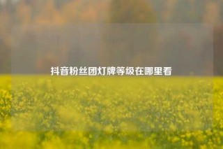 抖音粉丝团灯牌等级在哪里看