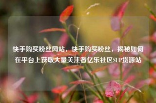 快手购买粉丝网站，快手购买粉丝，揭秘如何在平台上获取大量关注者亿乐社区SUP货源站