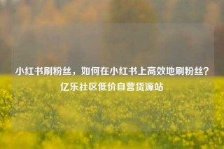 小红书刷粉丝，如何在小红书上高效地刷粉丝？亿乐社区低价自营货源站