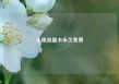 无限流量卡永久免费