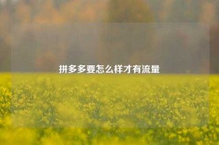 拼多多要怎么样才有流量