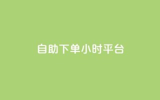 自助下单24小时平台Xhs - Xhs自助下单平台：快速的24小时在线服务~
