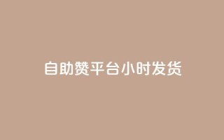 自助赞平台24小时发货,快手涨赞涨流量 - 抖音dy播放量软件 - dy业务微信