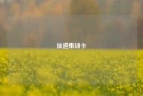 仙道集训卡
