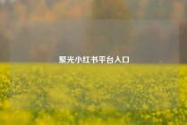聚光小红书平台入口