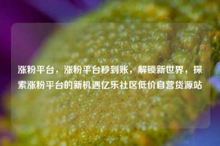 涨粉平台，涨粉平台秒到账，解锁新世界，探索涨粉平台的新机遇亿乐社区低价自营货源站
