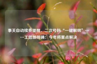 事关自动续费提醒、二次号码“一键解绑”……工信部明确：今年将重点解决