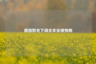 德国默克下调全年业绩预期