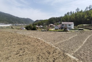 降水较常年同期少五成，安徽四大水利工程调水超11亿方应对旱情
