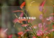 小红书5千粉报价