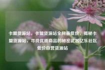卡盟货源站，卡盟货源站全网最低价，揭秘卡盟货源站，寻找优质商品的秘密武器亿乐社区低价自营货源站