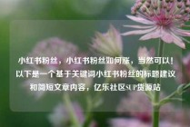 小红书粉丝，小红书粉丝如何涨，当然可以！以下是一个基于关键词小红书粉丝的标题建议和简短文章内容，亿乐社区SUP货源站