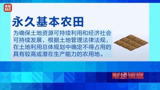 调查丨永久基本农田沦为垃圾堆场，整改为何成“纸面工程”？