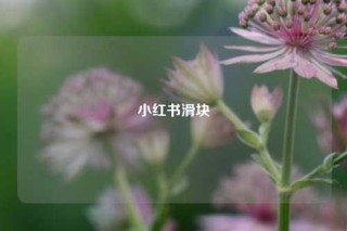 小红书滑块