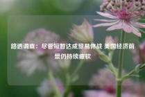 路透调查：尽管短暂达成贸易休战 美国经济前景仍持续疲软
