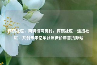 两碗社区，两碗镇两碗村，两碗社区—连接社区，共创未来亿乐社区低价自营货源站