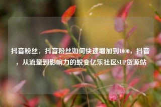 抖音粉丝，抖音粉丝如何快速增加到1000，抖音，从流量到影响力的蜕变亿乐社区SUP货源站