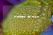 哔哩哔哩创作者中心在哪