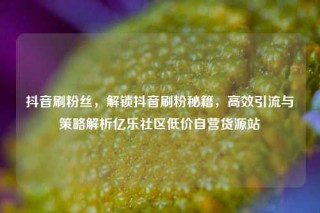 抖音刷粉丝，解锁抖音刷粉秘籍，高效引流与策略解析亿乐社区低价自营货源站
